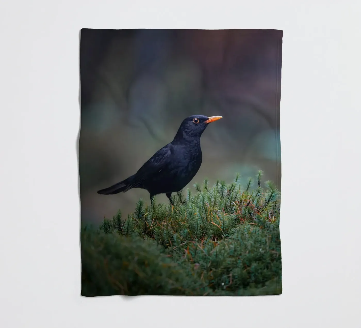 Amsel Fleecedecke von Tom's Wildlife