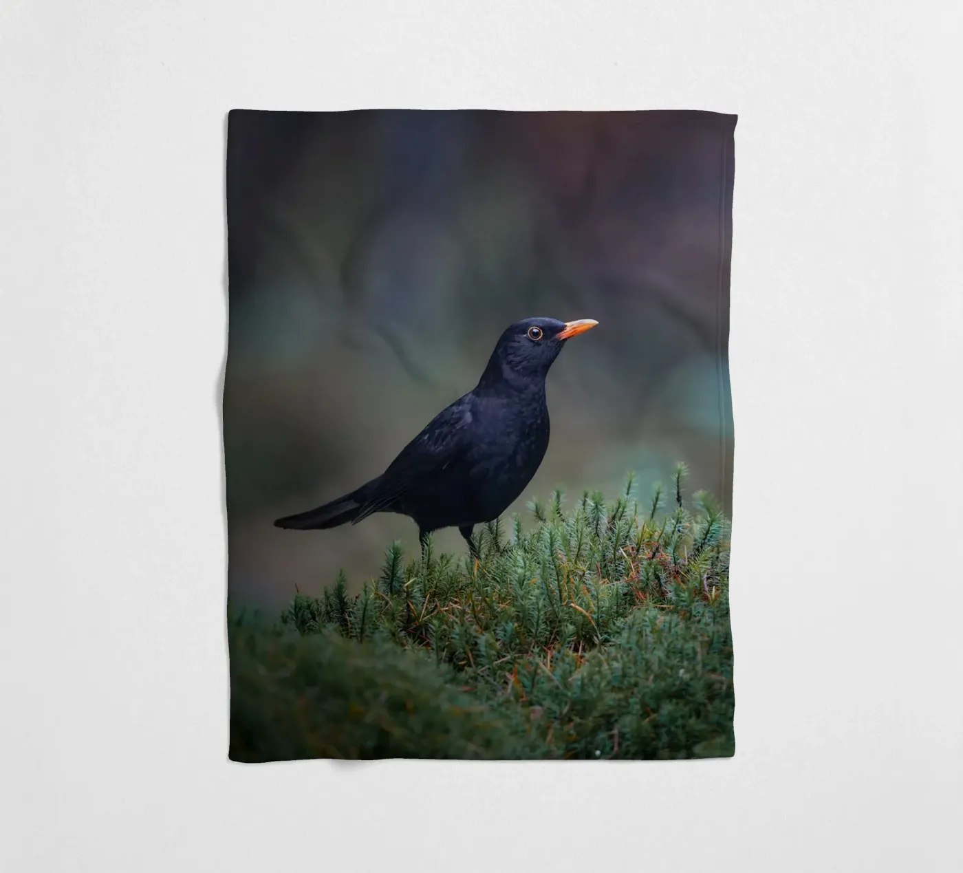 Amsel Fleecedecke von Tom's Wildlife