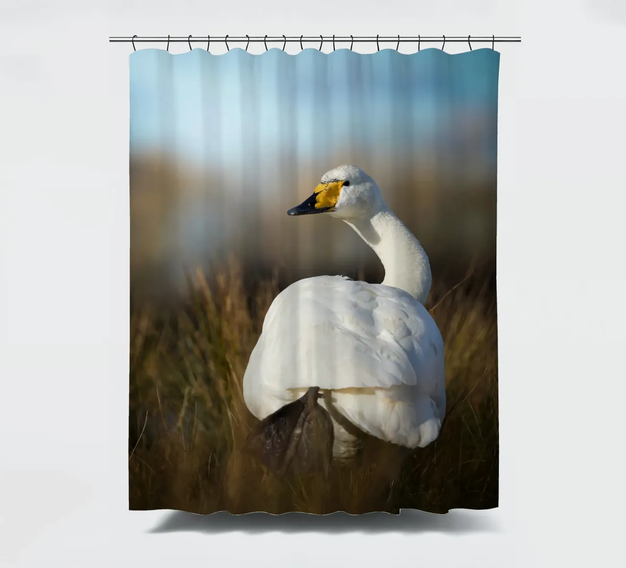 Cisne cantor cortina de baño de Tom's Wildlife