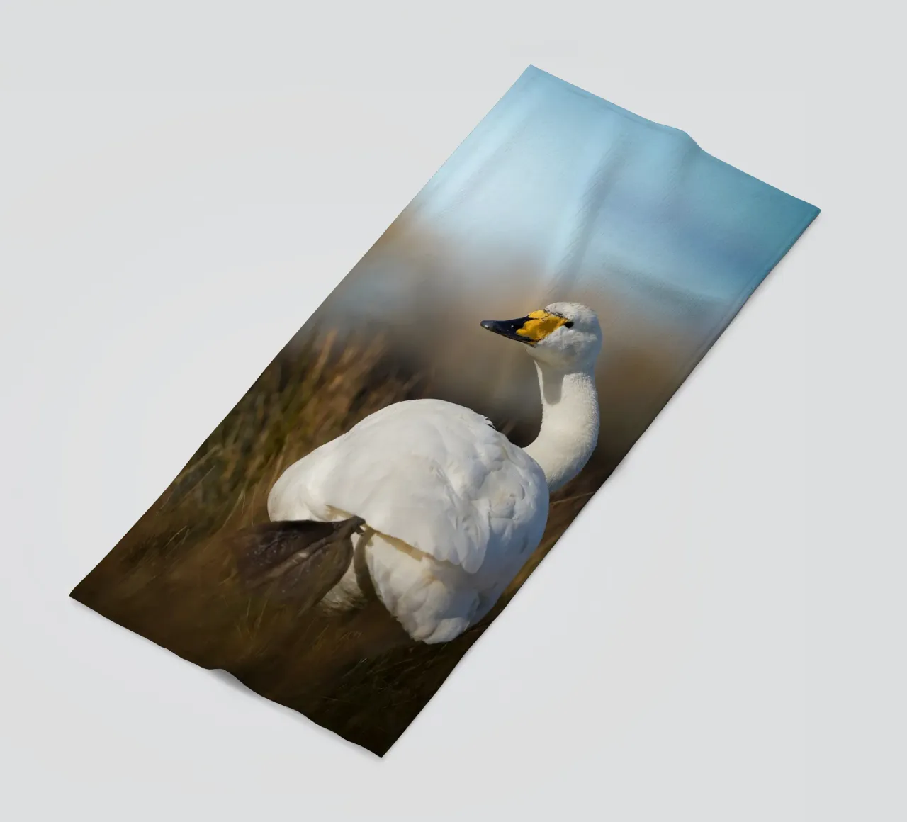 Cisne cantor toalla de playa de Tom's Wildlife