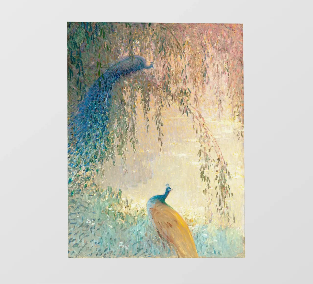 Boho Peacocks pellicola backlit da apoloprints