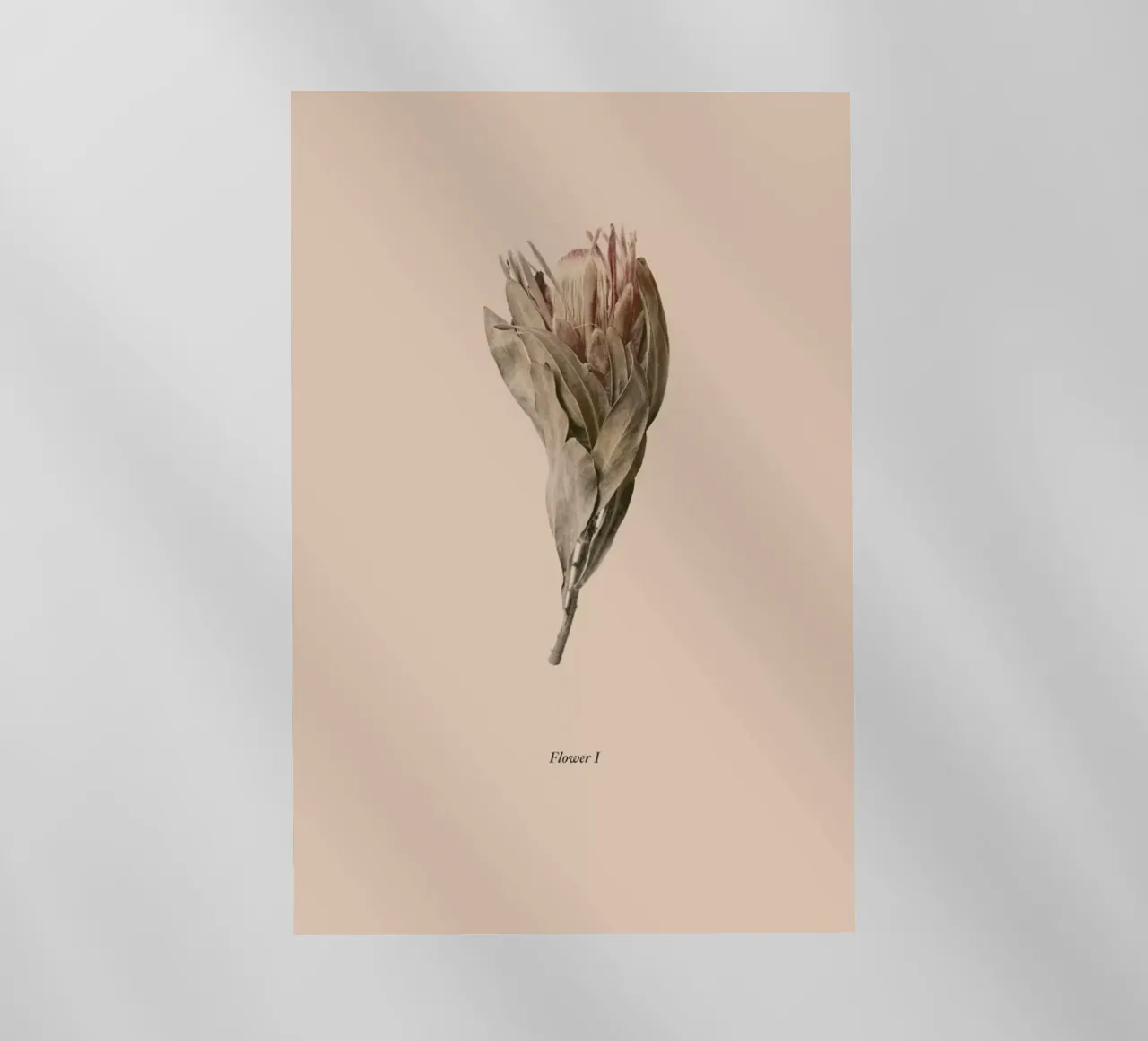 Botanico I pellicola backlit da Elena Veronese