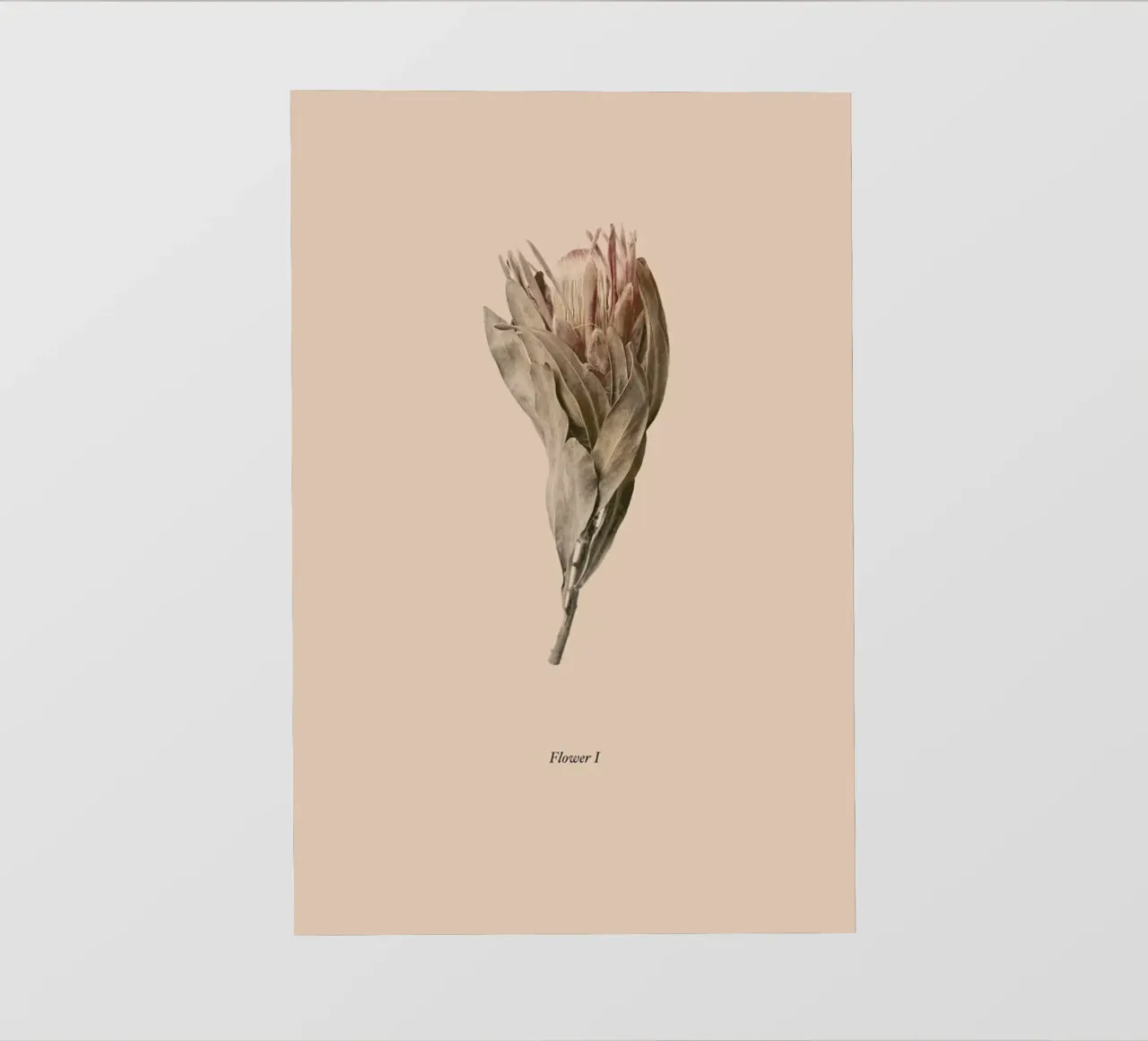 Botanico I telo in pvc da Elena Veronese