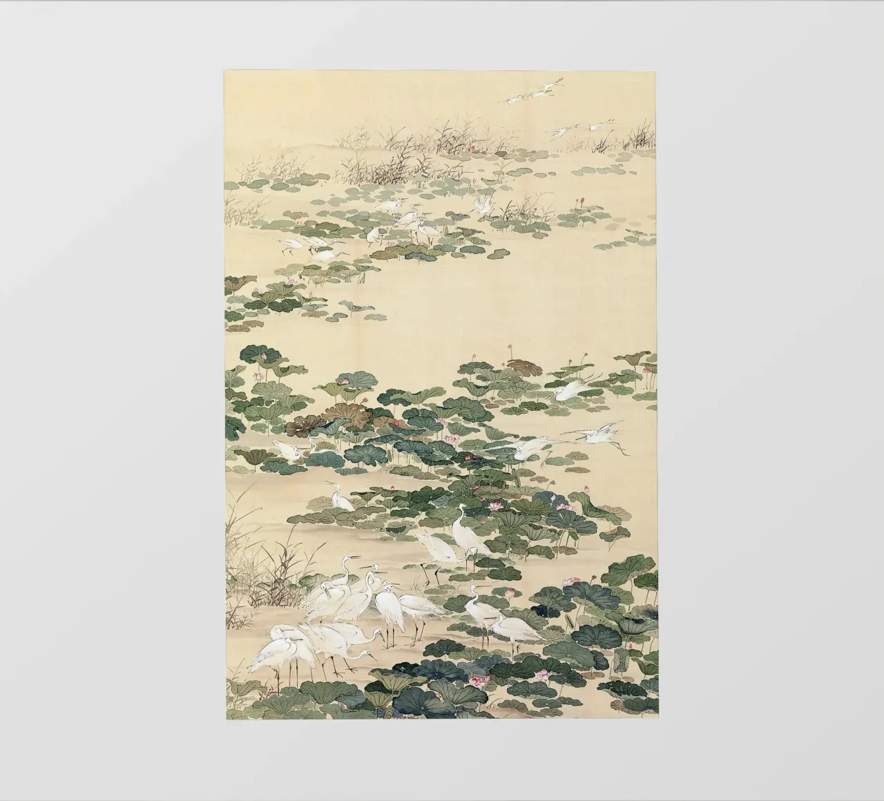 Egrets in a Lotus Pond telo in pvc da apoloprints