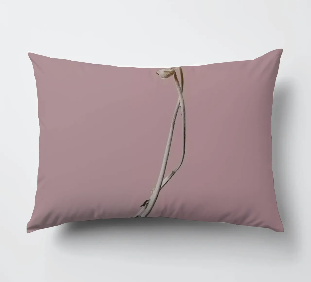 Botanico IV cuscino da Elena Veronese