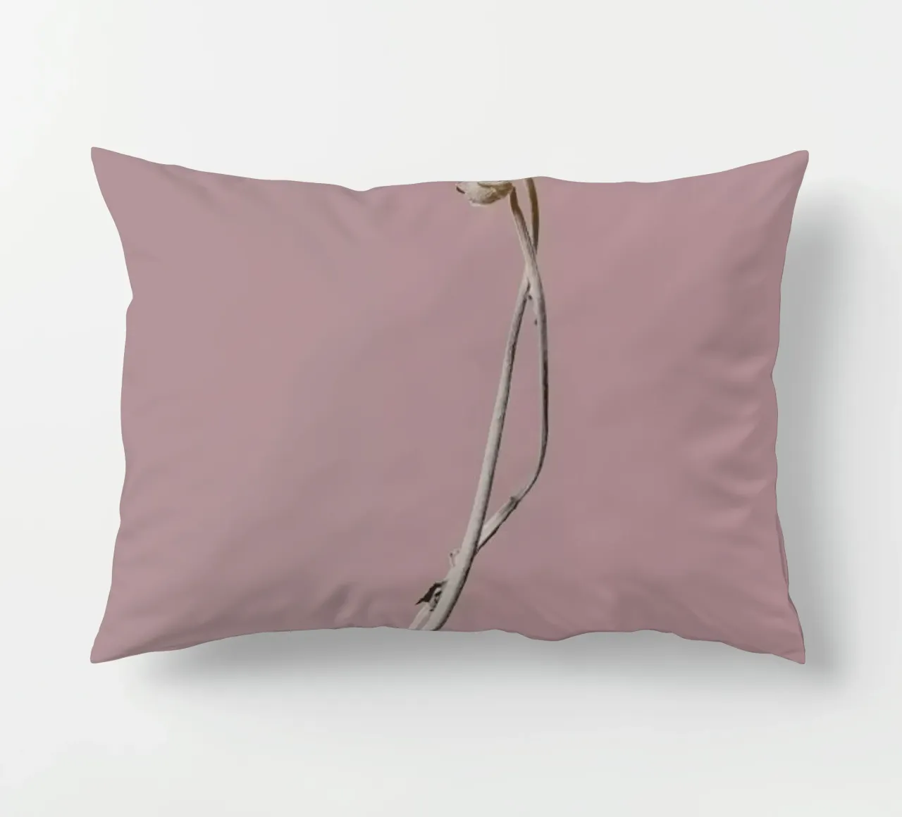 Botanico IV cuscino da Elena Veronese