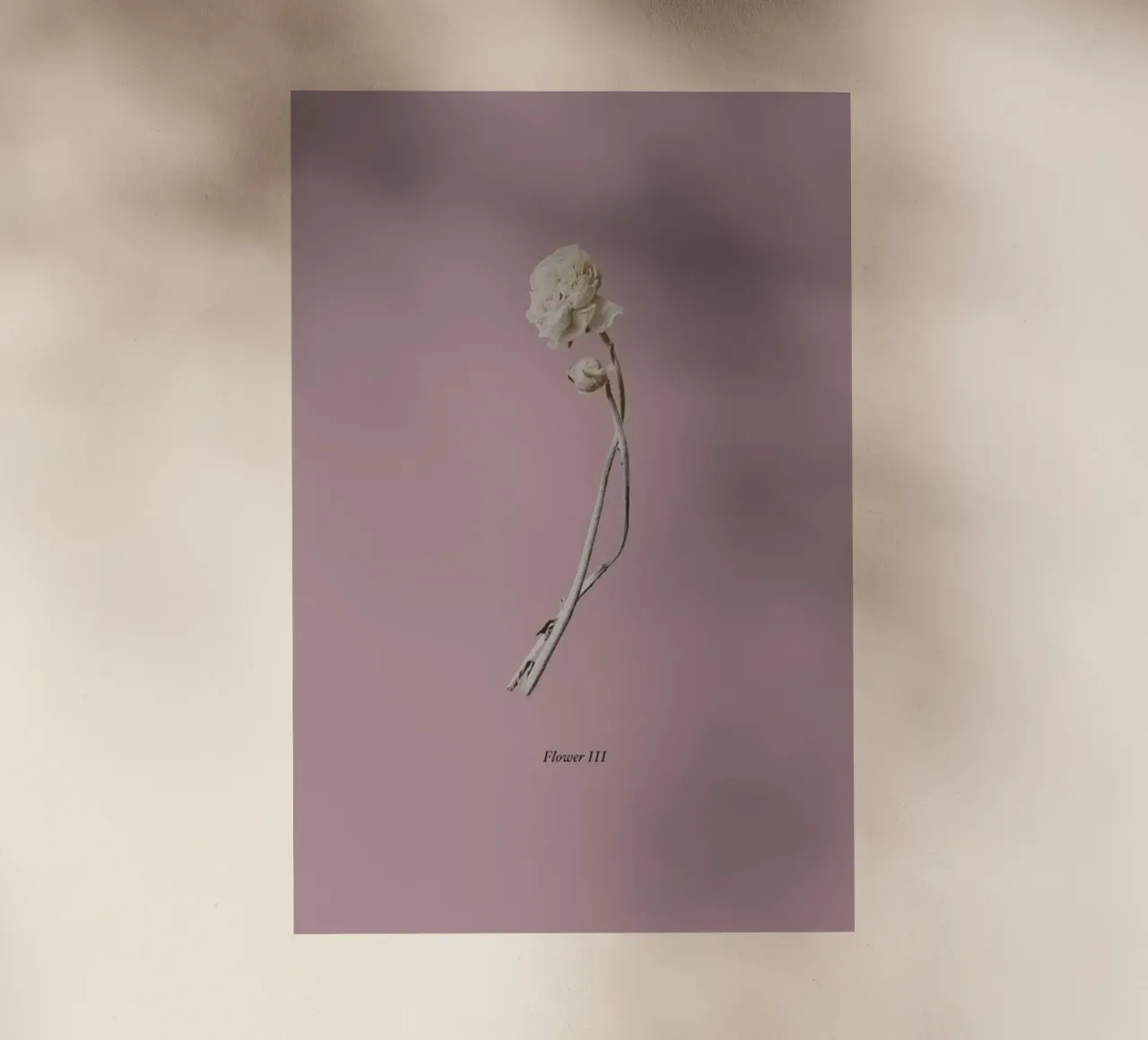 Botanico IV pellicola backlit da Elena Veronese