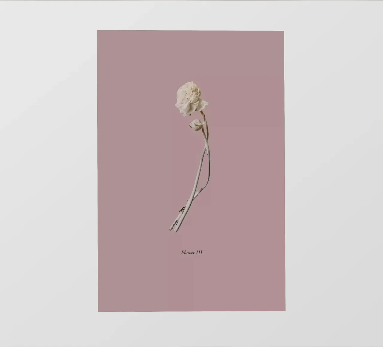 Botanico IV pellicola backlit da Elena Veronese