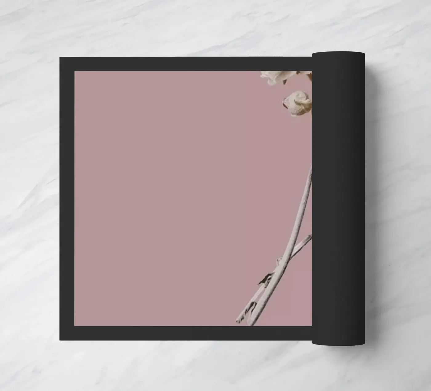 Botanico IV zerbino da Elena Veronese