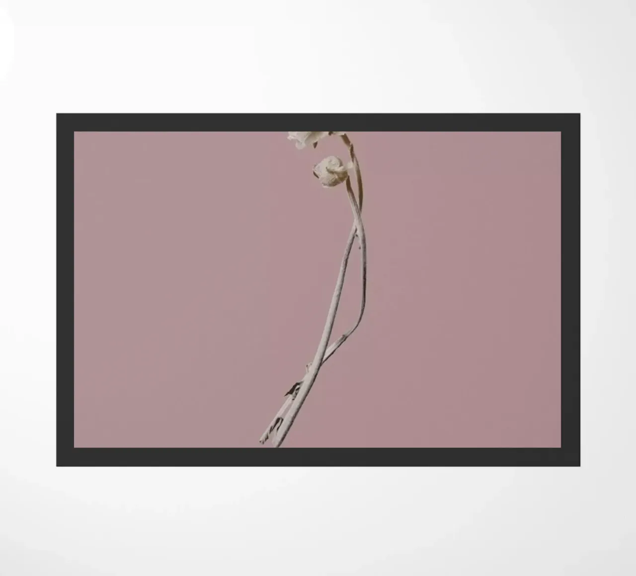 Botanico IV zerbino da Elena Veronese