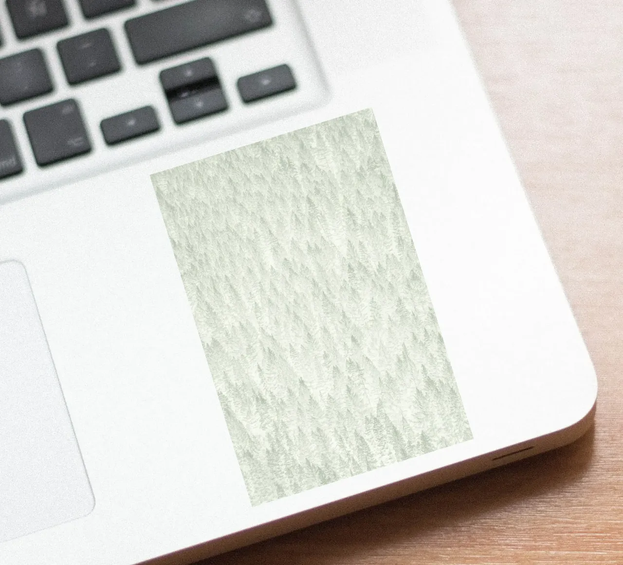 Sage Conifer Forest adesivo da apoloprints