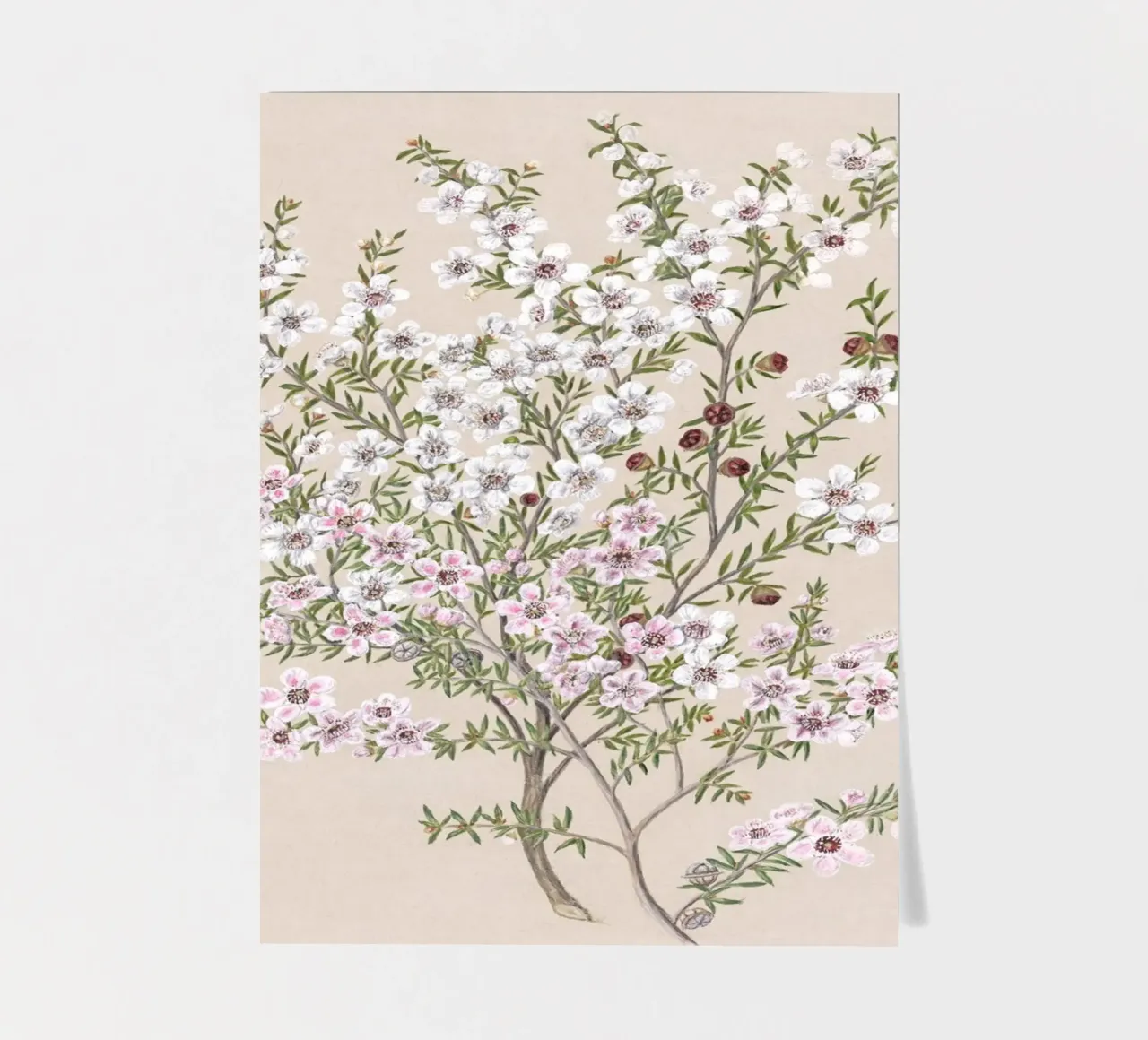 Boho Floral Branch sticker sheet by apoloprints