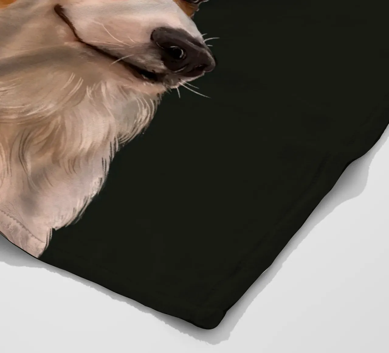 Sneaky Corgi coperta in pile da Laura Graves