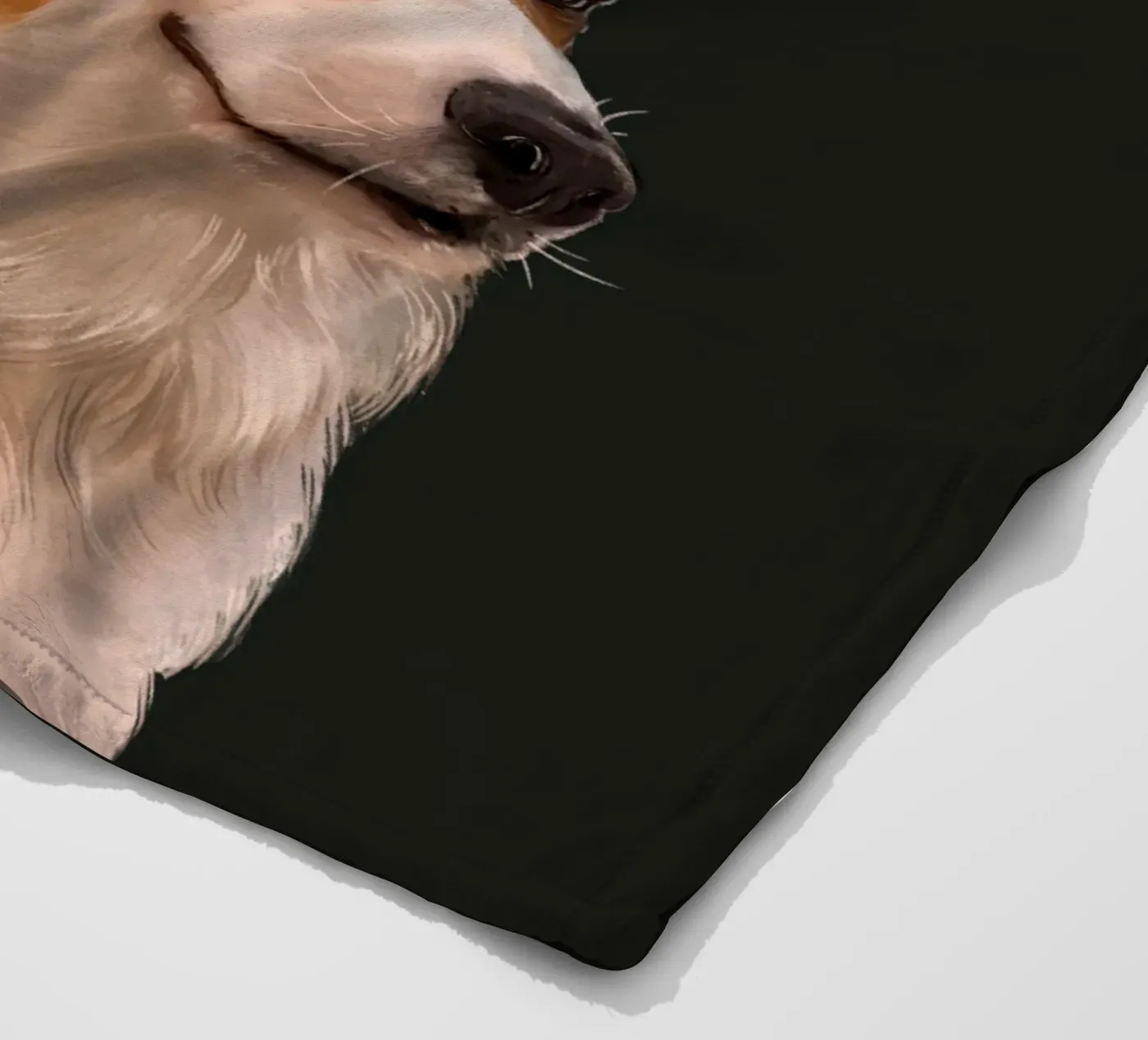 Sneaky Corgi fleecedeken van Laura Graves