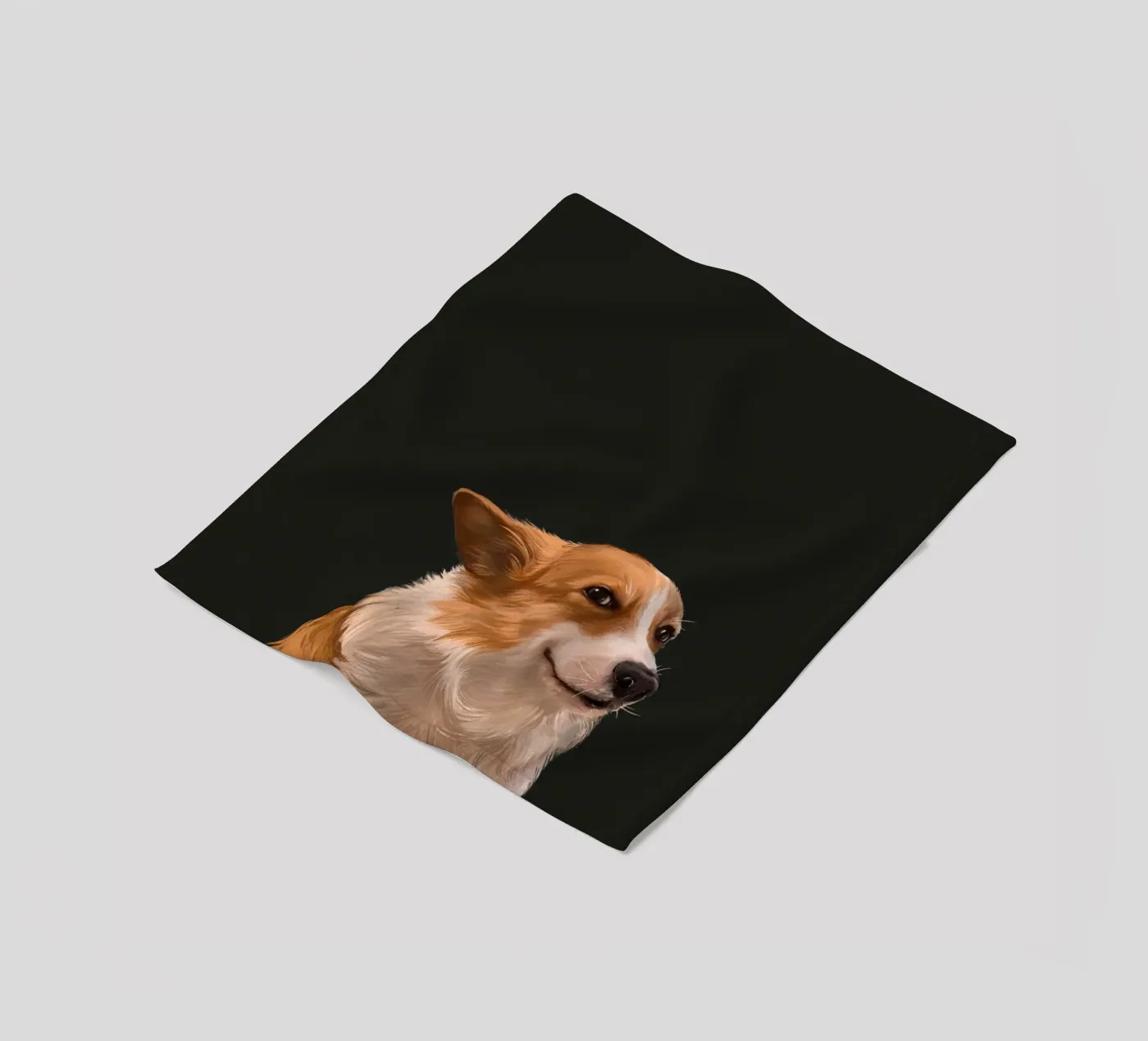 Sneaky Corgi fleecedeken van Laura Graves