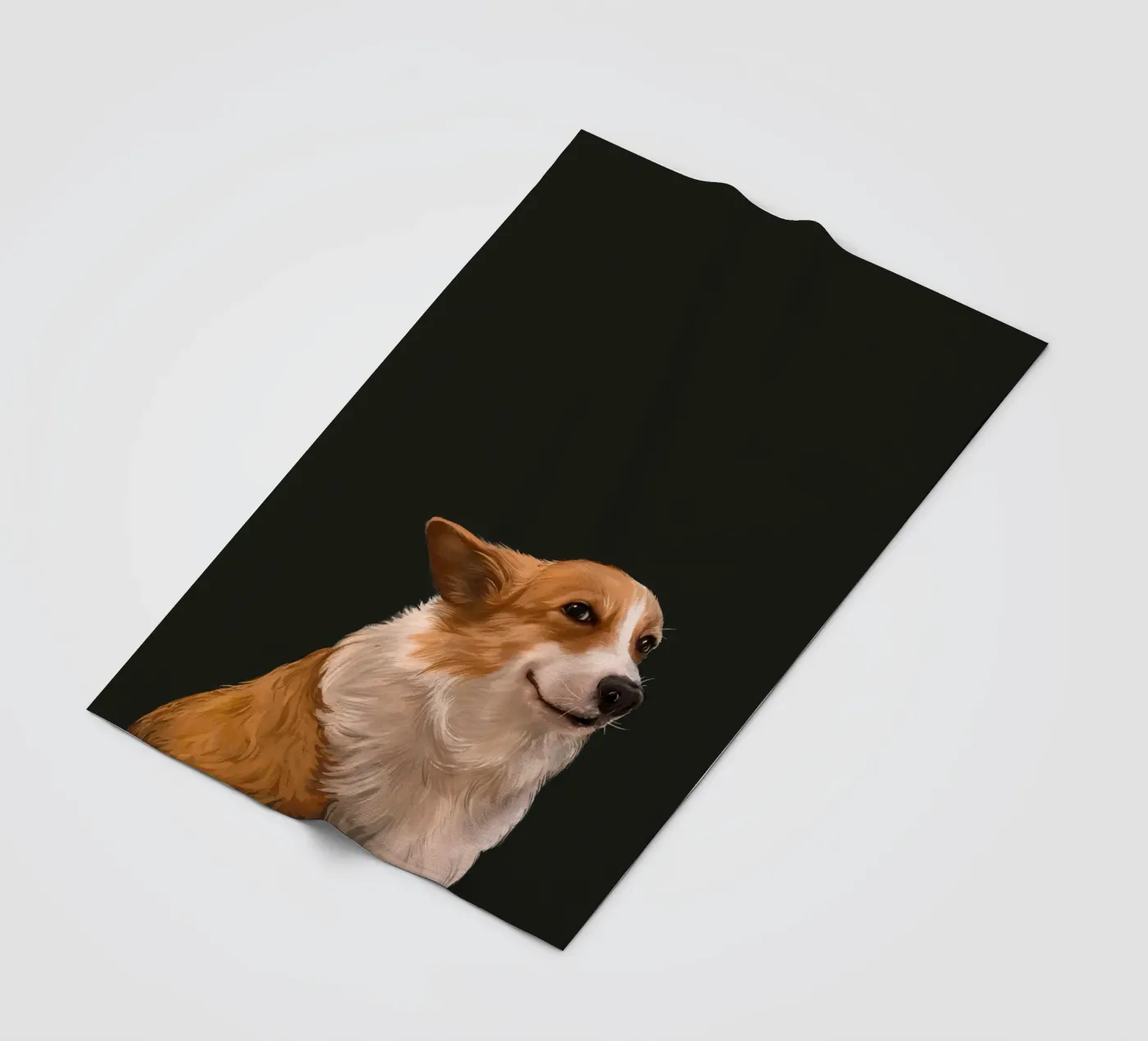 Sneaky Corgi fleecedeken van Laura Graves