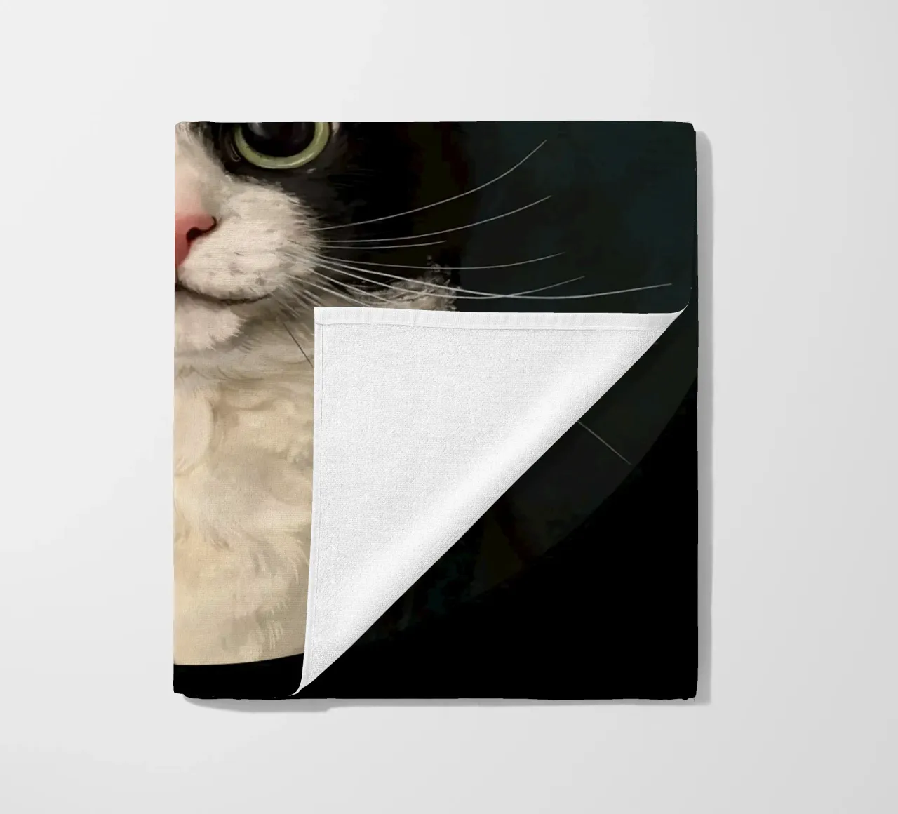 Tuxedo Cat Portrait telo mare da Laura Graves