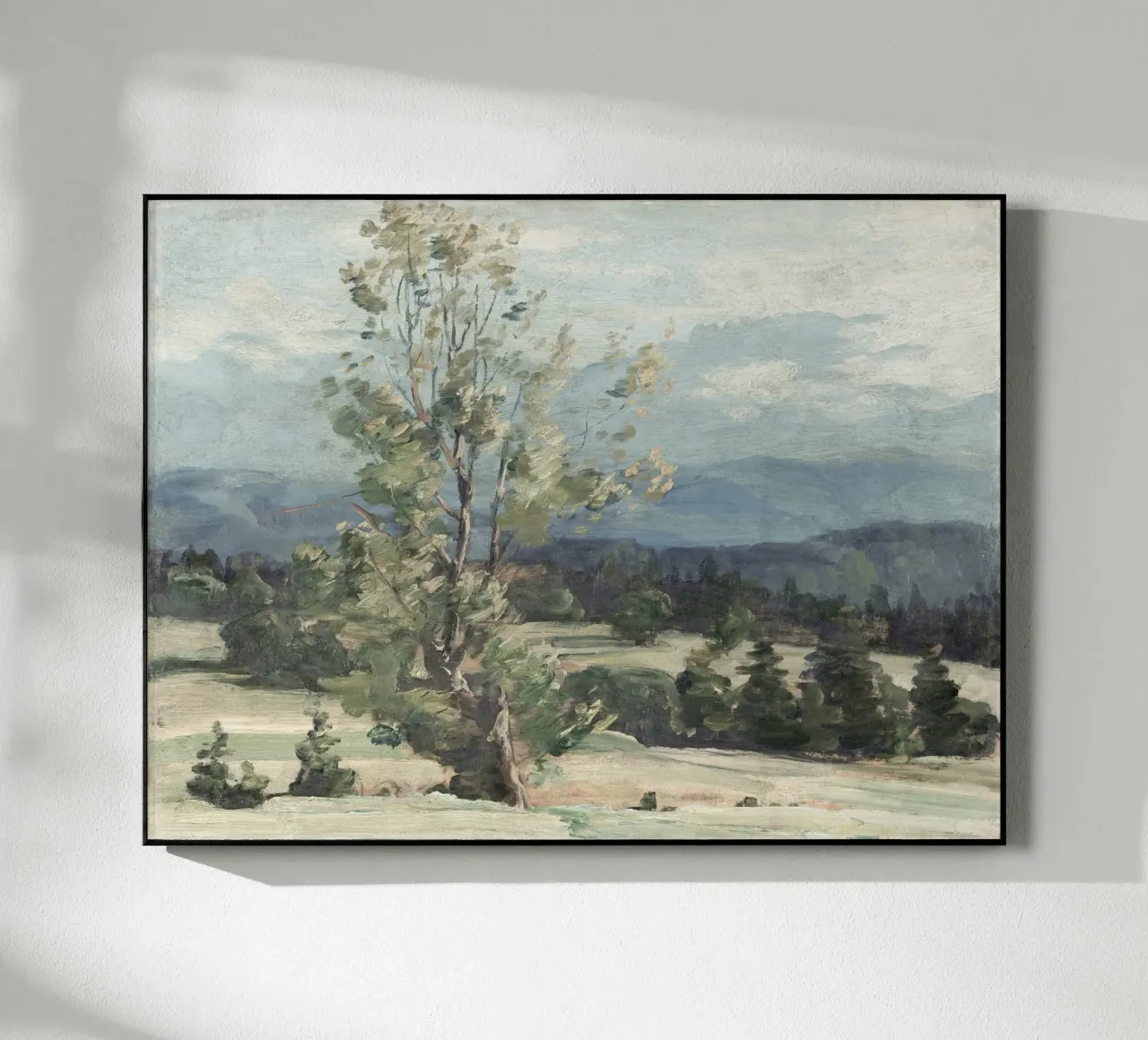 Pine Tree Landscape plexiglass da apoloprints