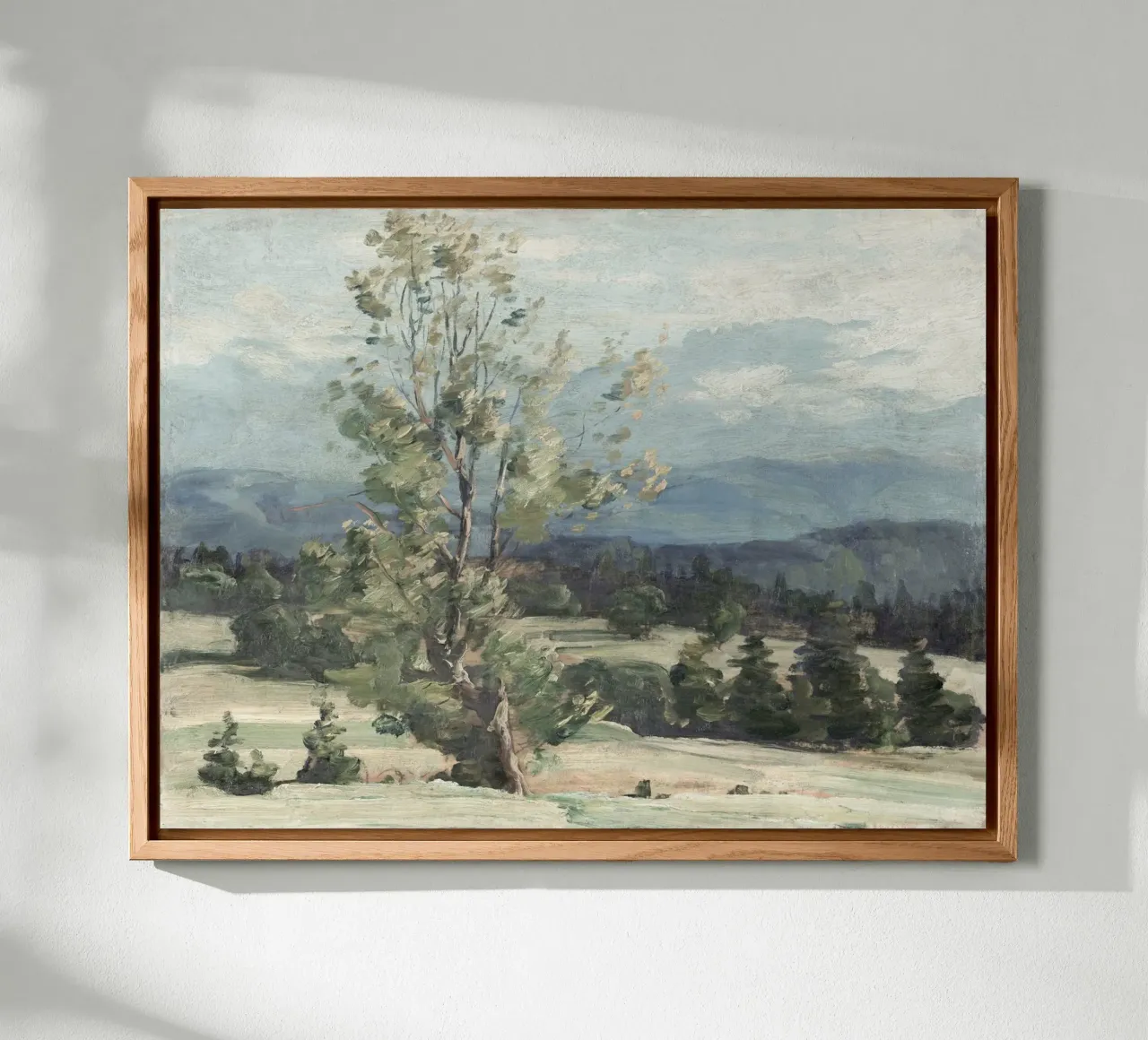 Pine Tree Landscape alluminio dibond da apoloprints