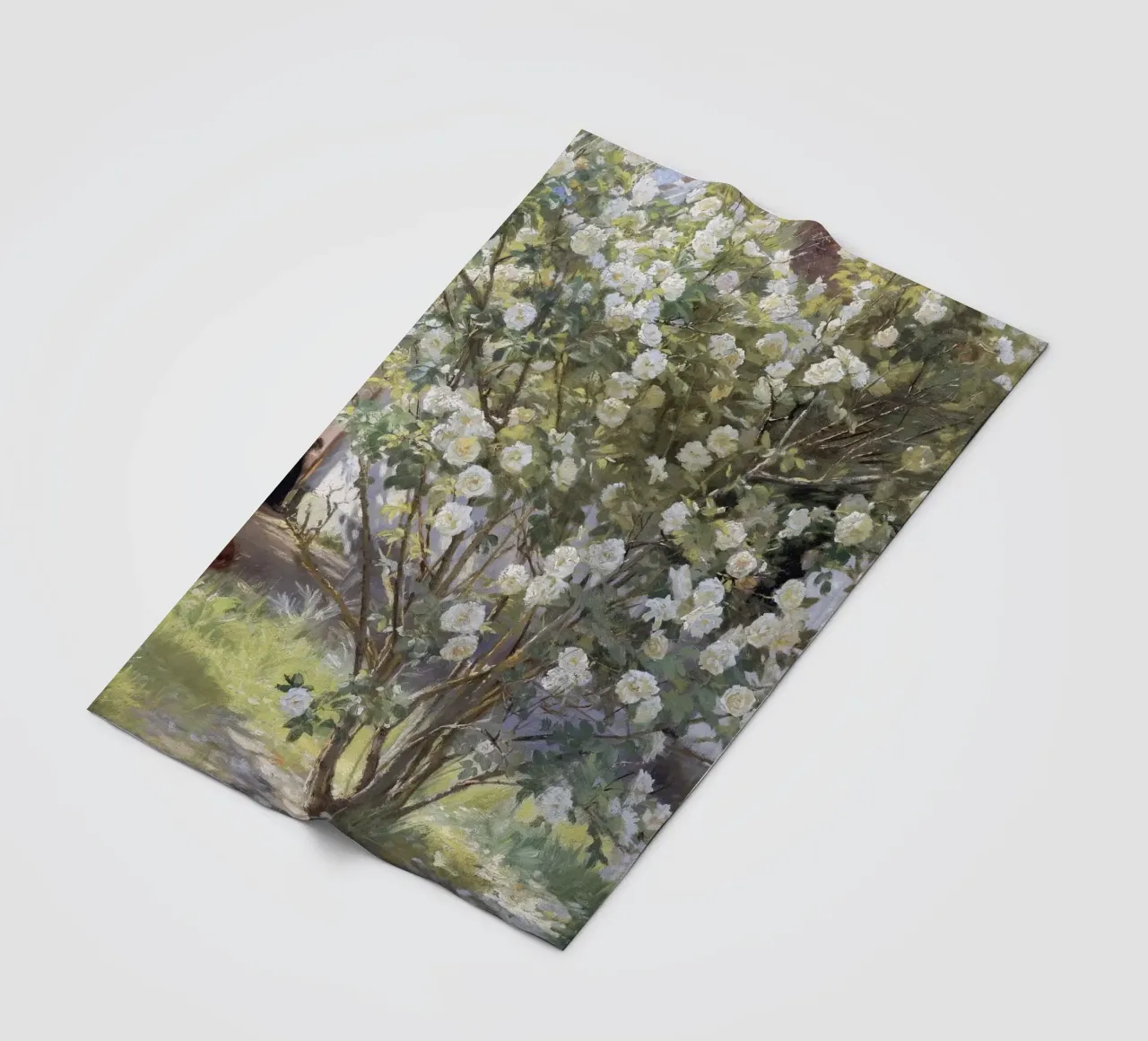 Roses by Peder Severin Krøyer coperta in pile da apoloprints