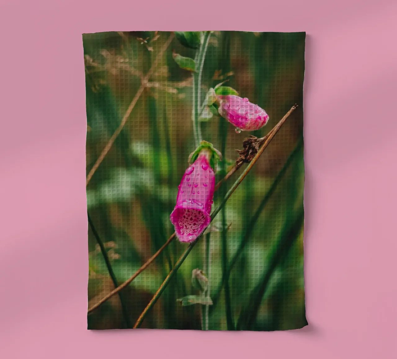 digitale fleur sauvage, plantes & nature Photographie d'automne torchon de Bold and Retro