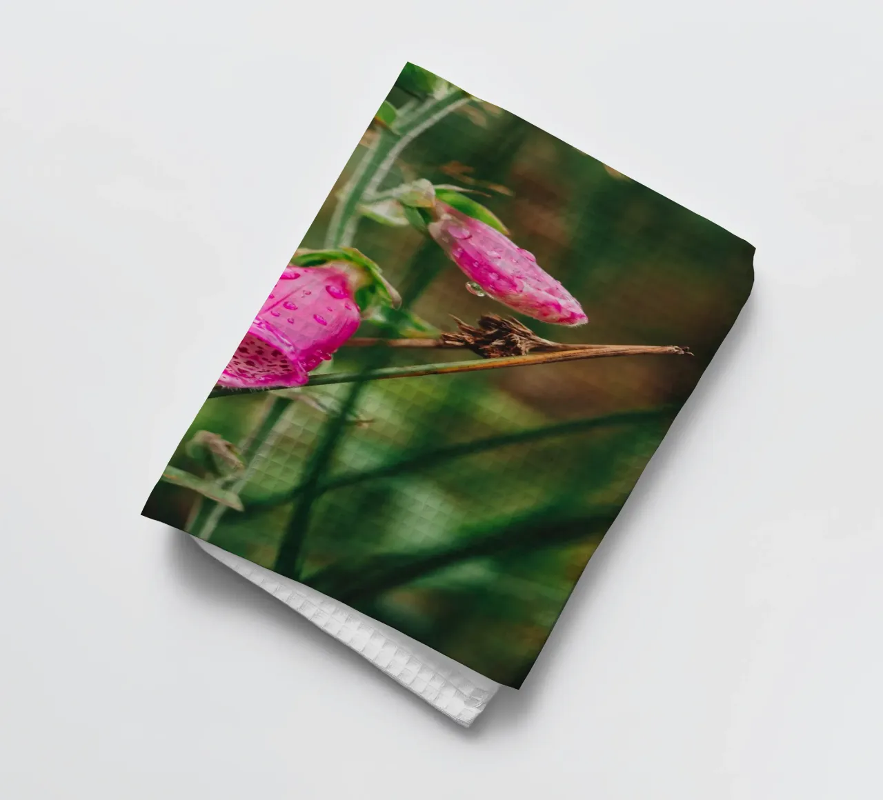 digitale fleur sauvage, plantes & nature Photographie d'automne torchon de Bold and Retro