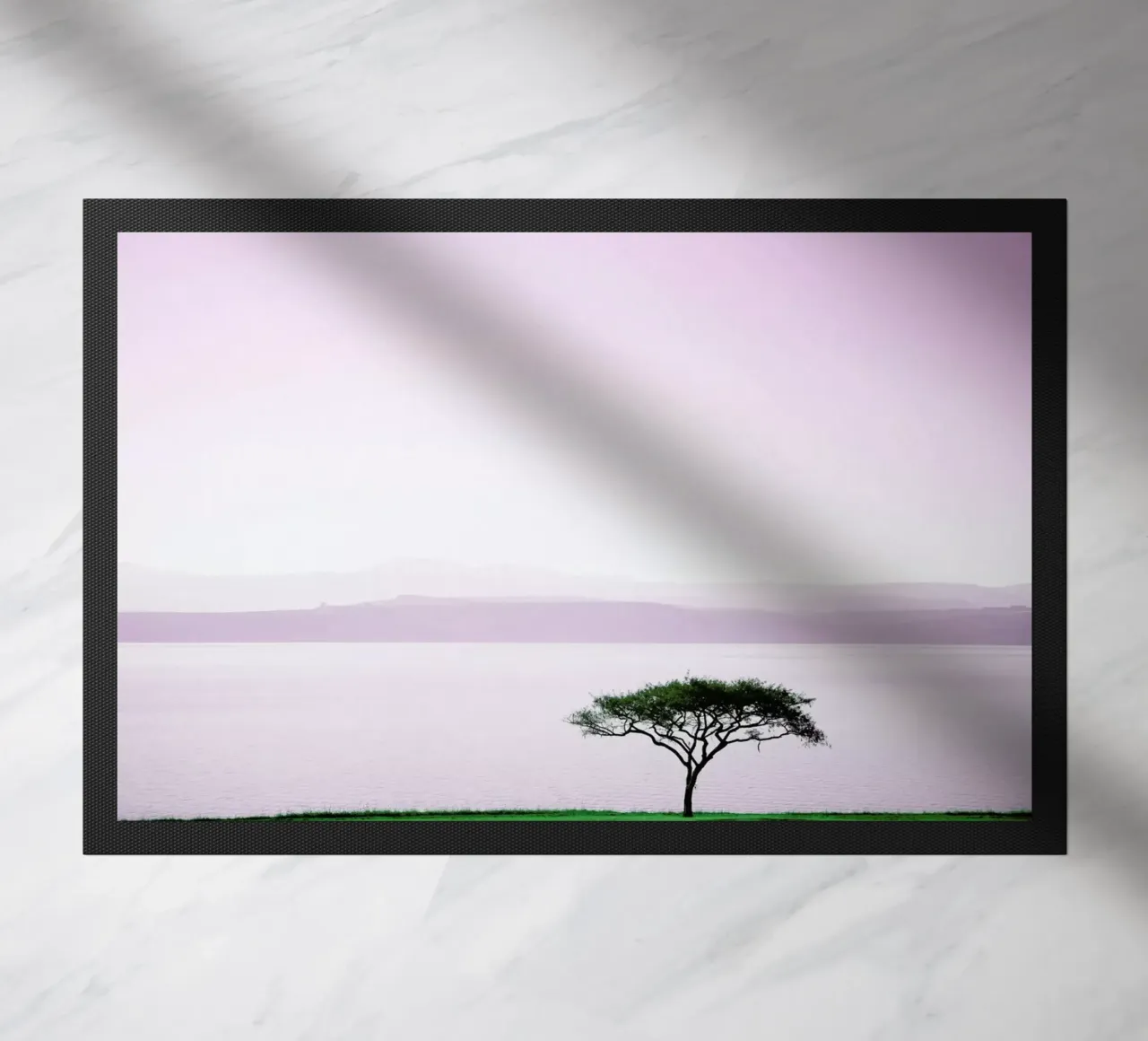 Albert Falls zerbino da Shot By Clint