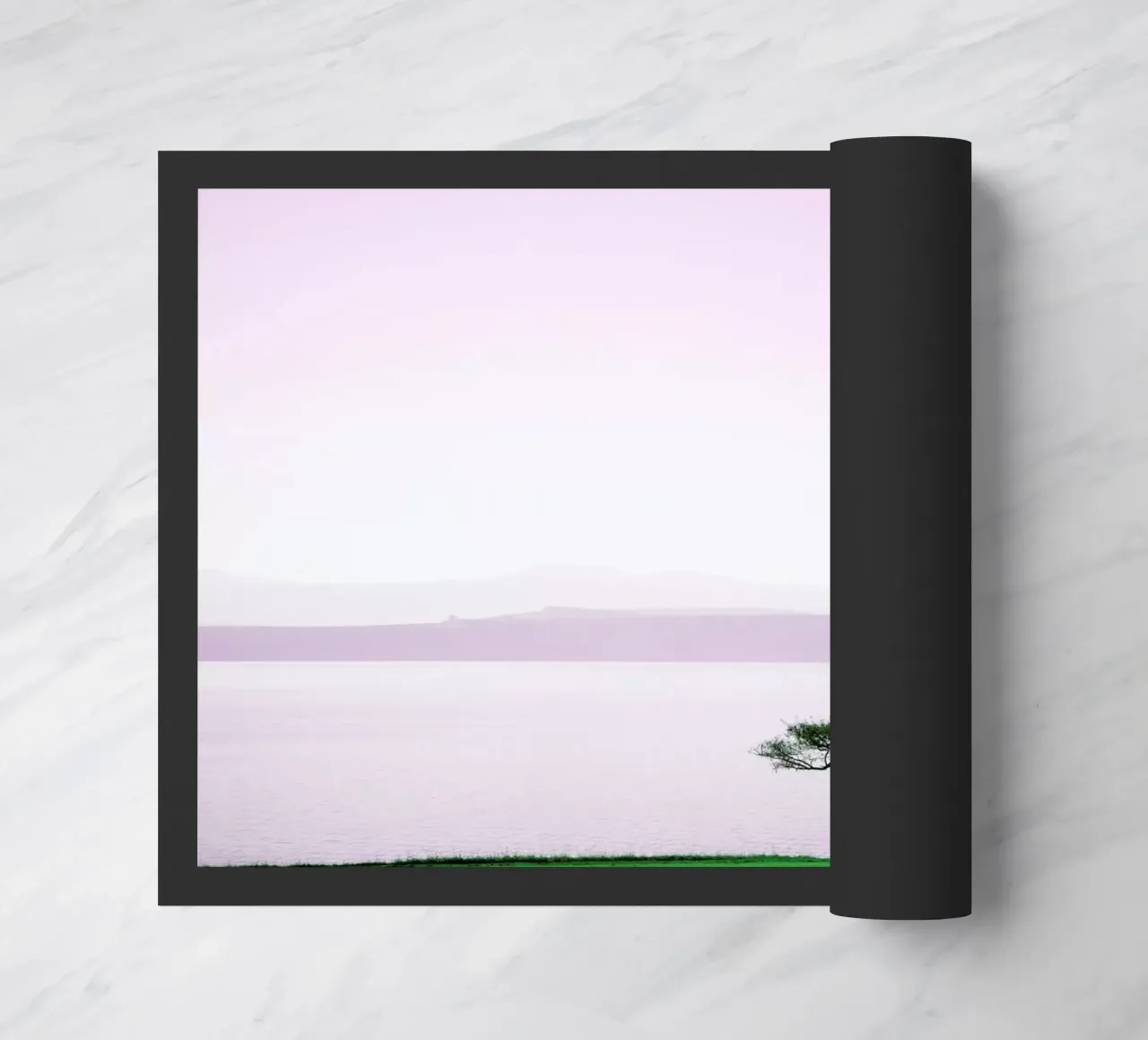 Albert Falls zerbino da Shot By Clint