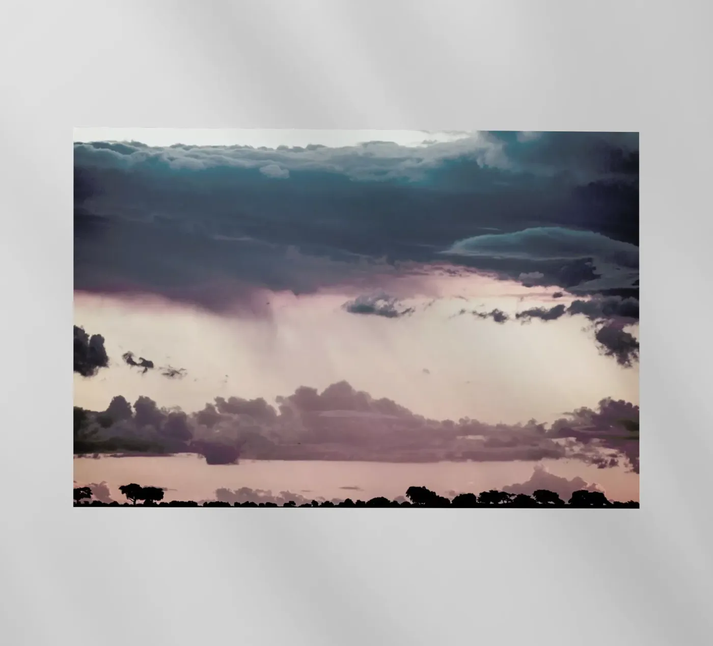 Chobe pellicola backlit da Shot By Clint