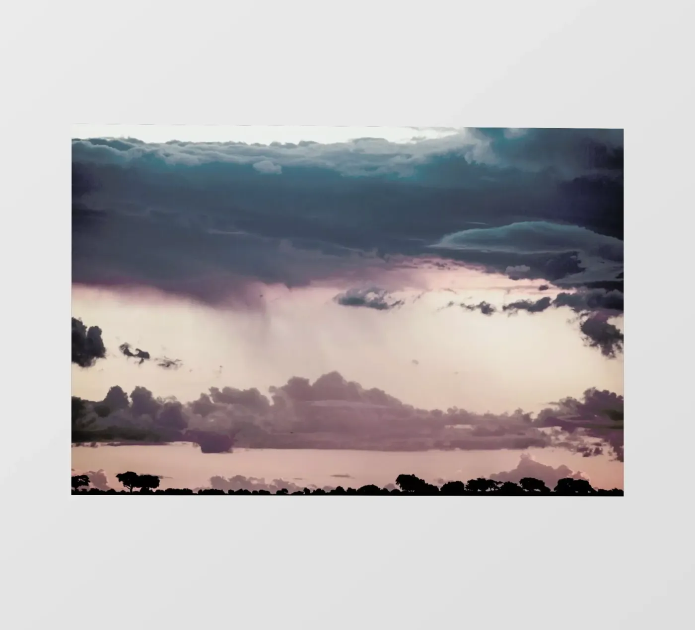 Chobe pellicola backlit da Shot By Clint