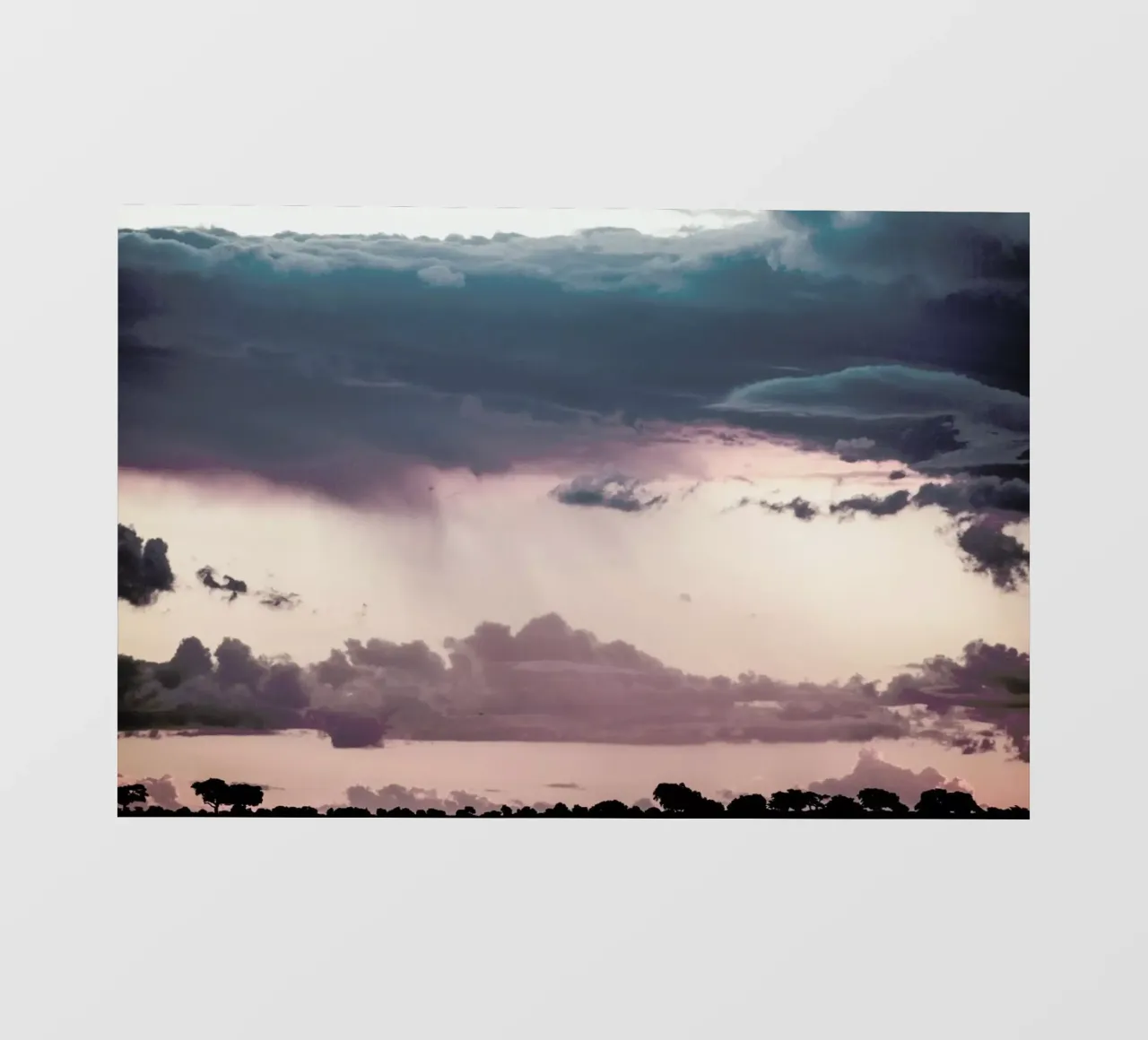 Chobe pellicola backlit da Shot By Clint