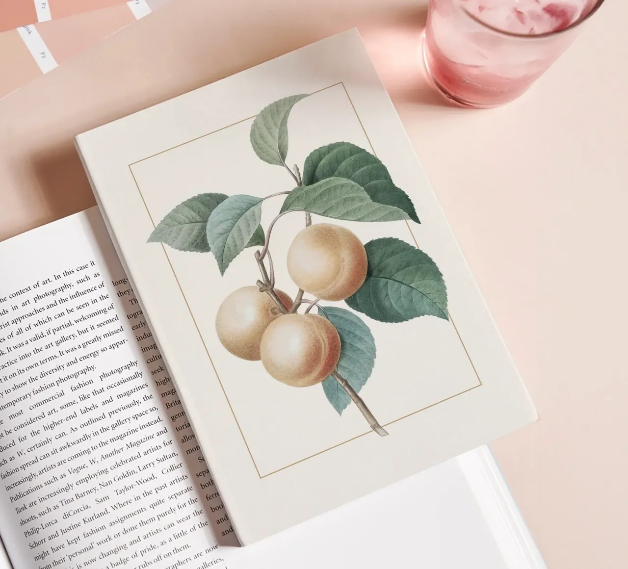 Apricot Peach notebook by apoloprints