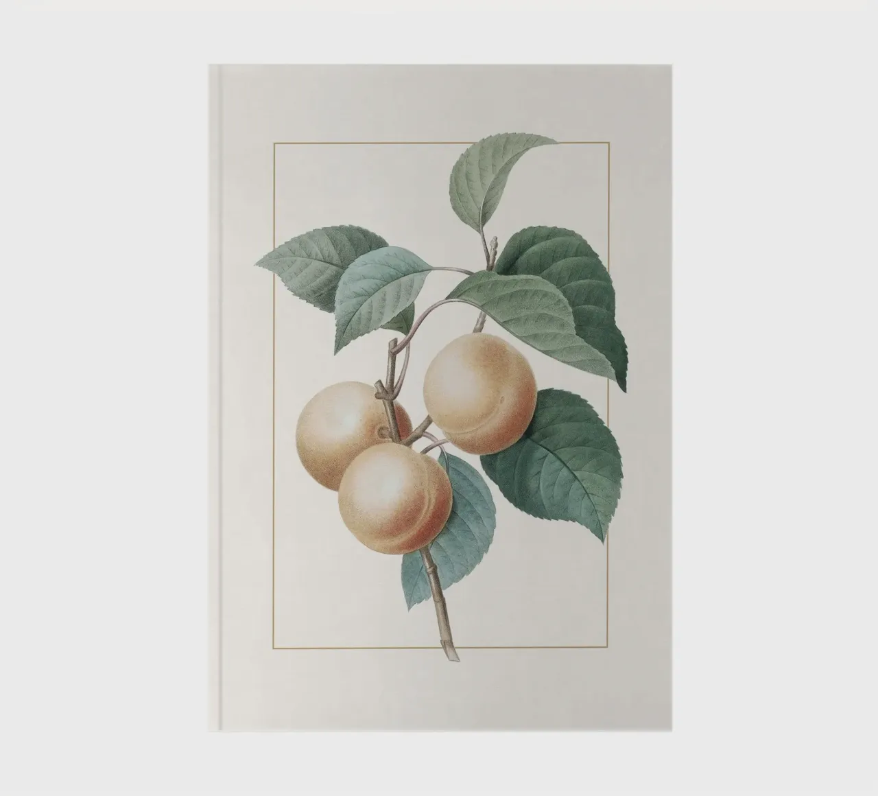 Apricot Peach notebook by apoloprints
