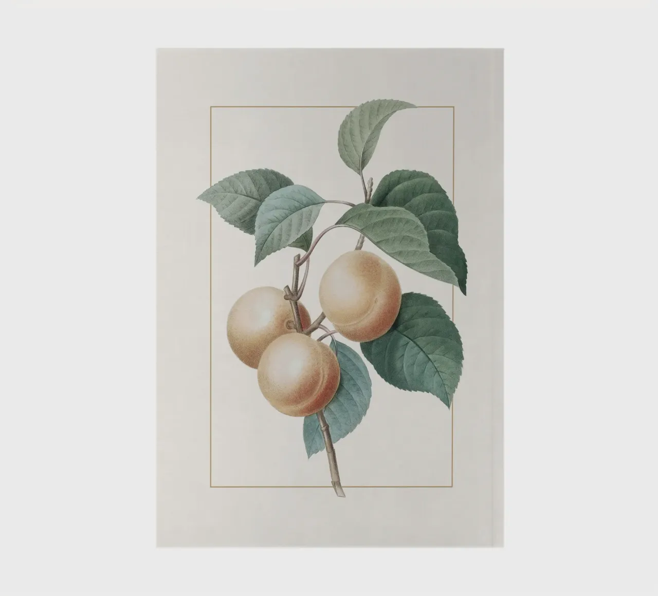 Apricot Peach notebook by apoloprints
