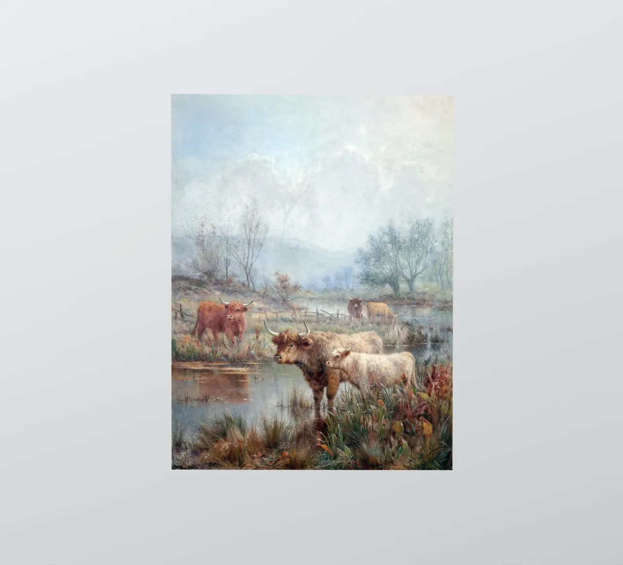 Highland cattle adesivo da apoloprints