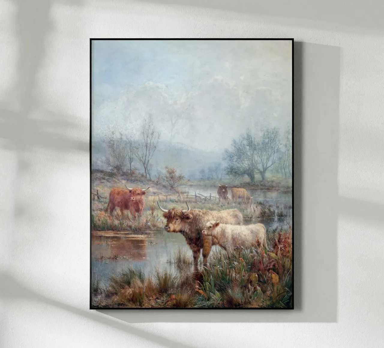 Highland cattle plexiglass da apoloprints
