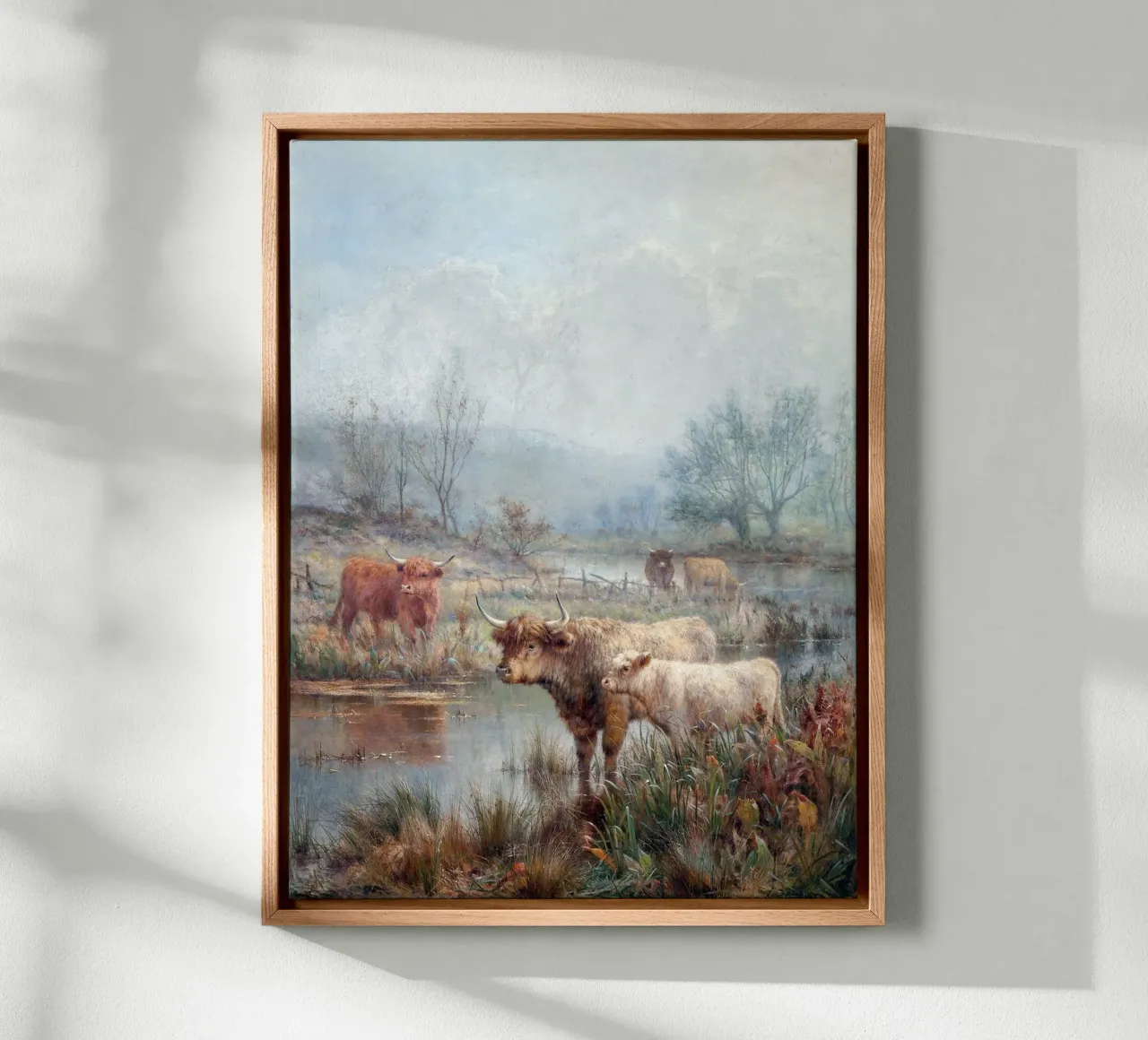 Highland cattle tela con Cornice a cassetta da apoloprints