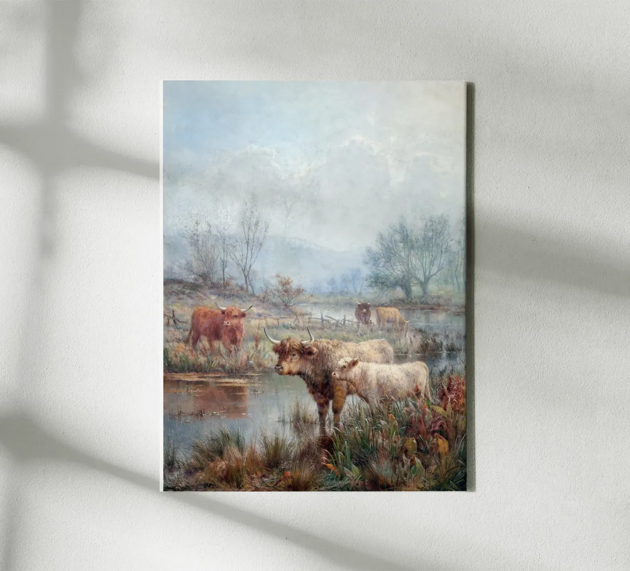 Highland cattle tela con Cornice a cassetta da apoloprints