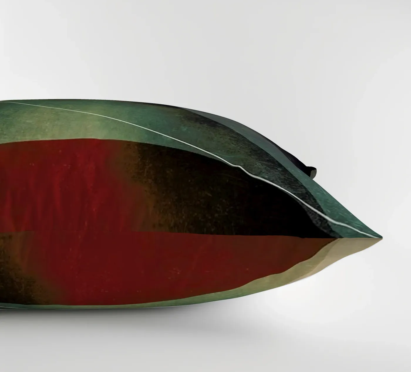 Triangle circle half Kissen von Danny Ivan