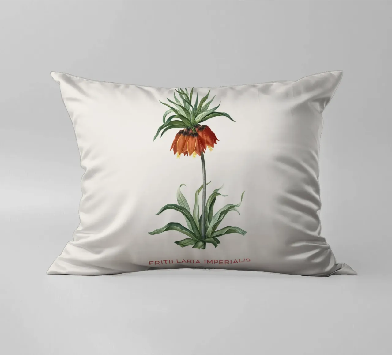 Tulipano curdo o Fritillaria imperialis cuscino da Vintagrafica