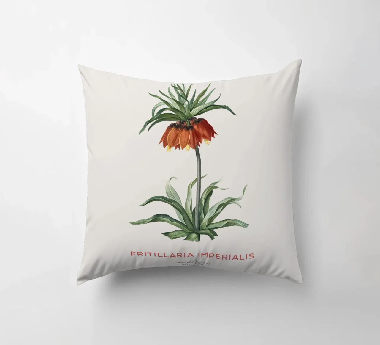 Tulipano curdo o Fritillaria imperialis cuscino da Vintagrafica