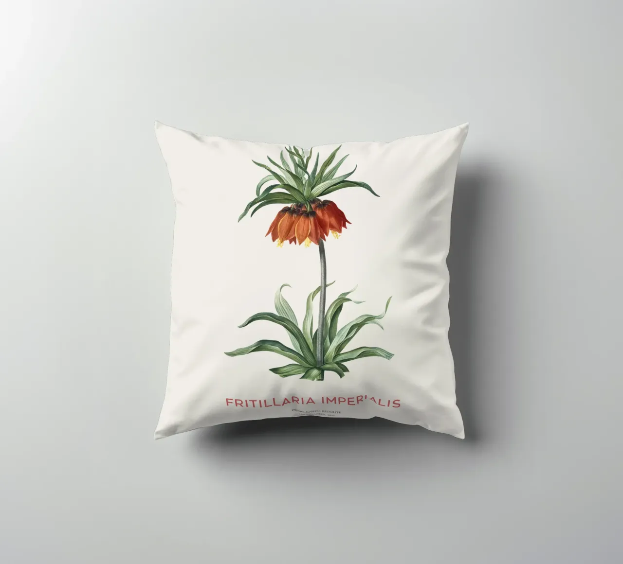 Tulipano curdo o Fritillaria imperialis cuscino da Vintagrafica