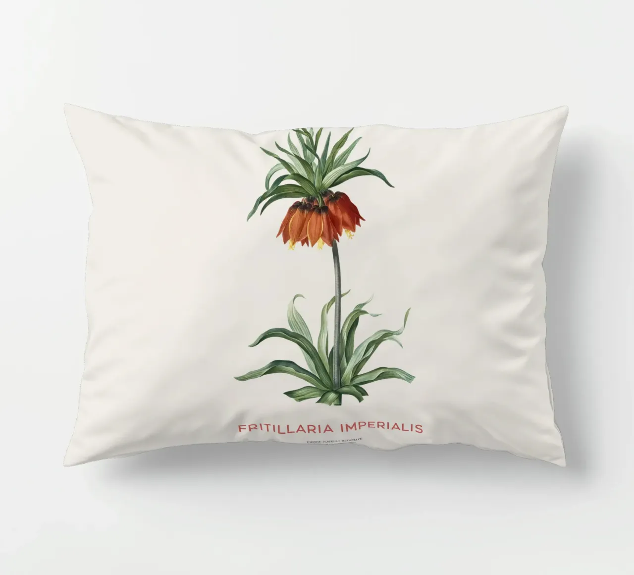 Tulipano curdo o Fritillaria imperialis cuscino da Vintagrafica