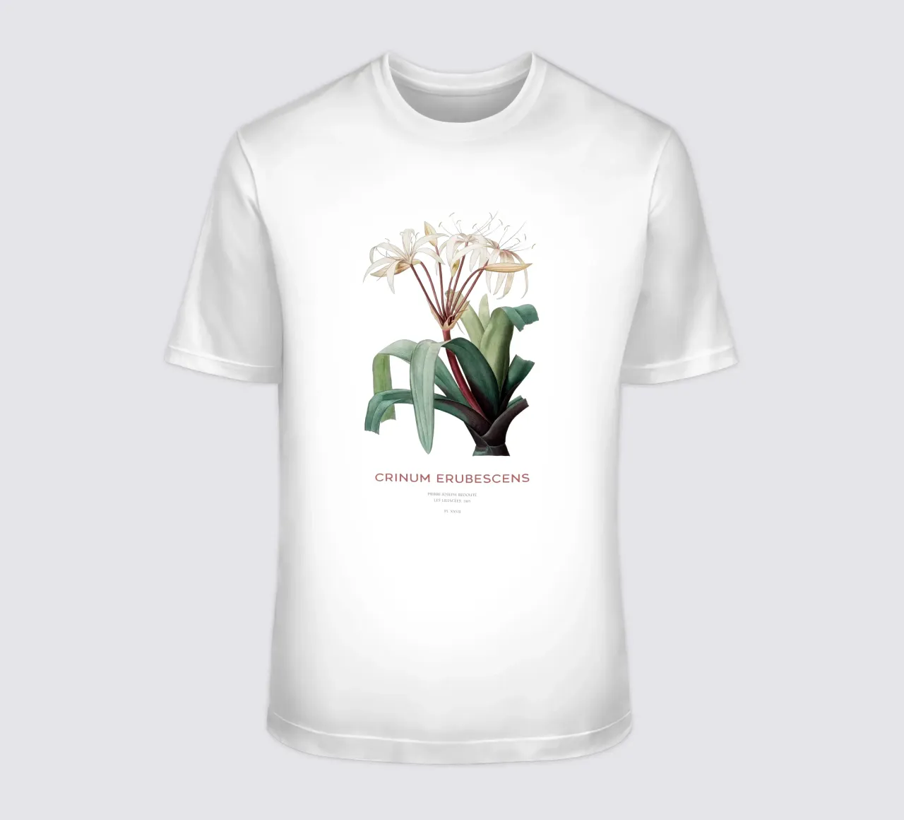Sumpflilie oder Crinum erubescens T-Shirt von Vintagrafica