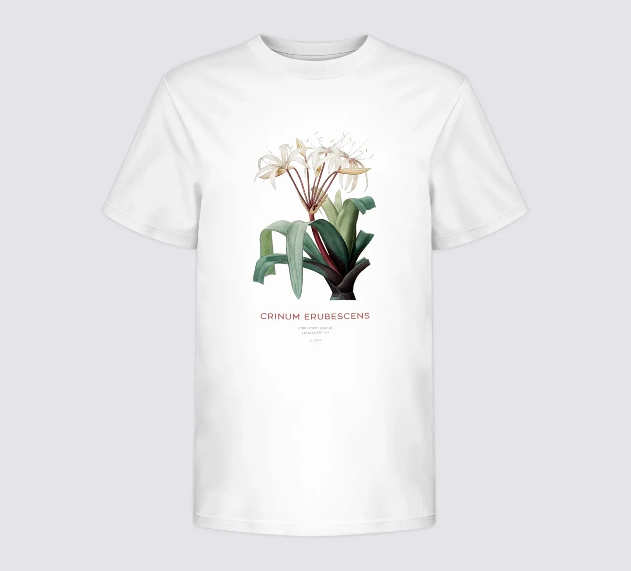 Swamp lily or Crinum erubescens kids t-shirt by Vintagrafica