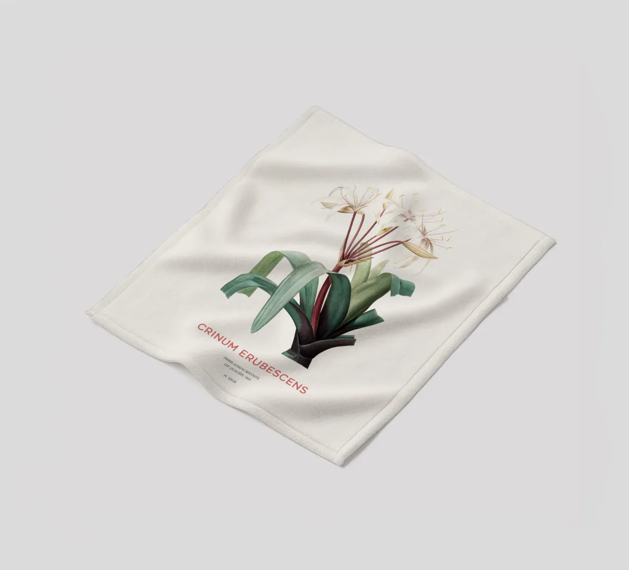 Sumpflilie oder Crinum erubescens Fleecedecke von Vintagrafica