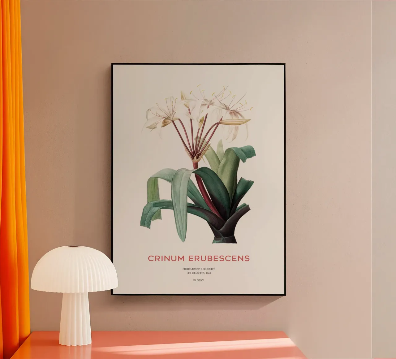 Moeraslelie of Crinum erubescens acryl van Vintagrafica