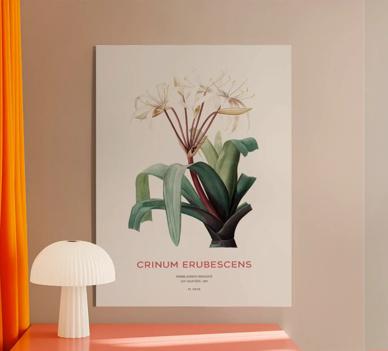 Moeraslelie of Crinum erubescens acryl van Vintagrafica