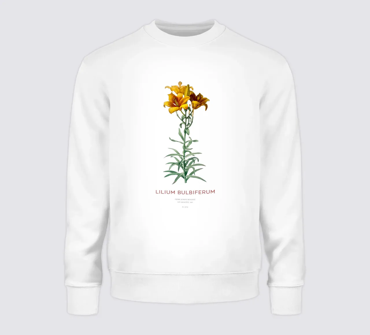 Giglio di fuoco o Lilium bulbiferum felpa da Vintagrafica