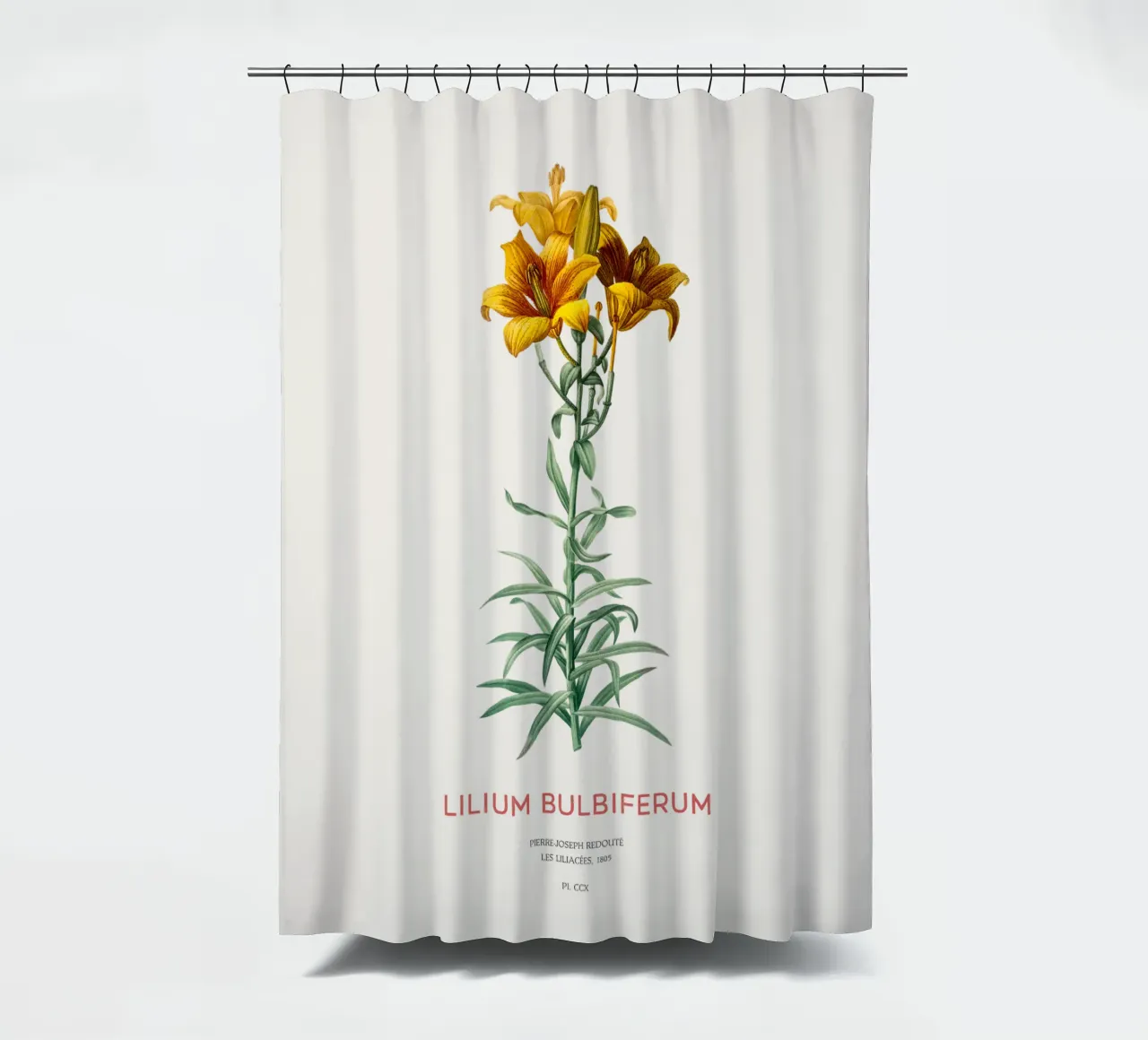 Fire lily or Lilium bulbiferum shower curtain by Vintagrafica